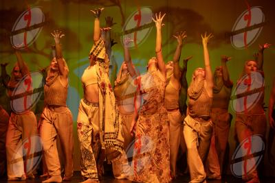 SHOW_02333.jpg